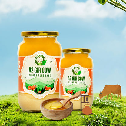 A2 Gir Cow Bilona Pure Ghee